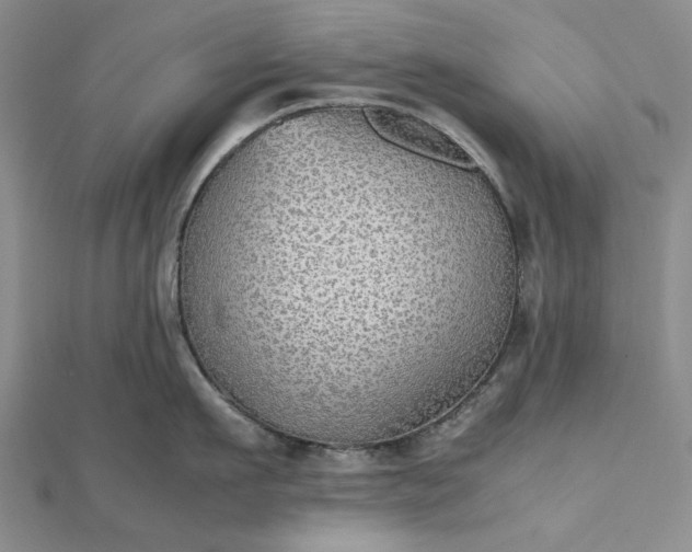 X0000112470911200908311347