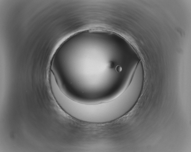 X0000112470912200908311347