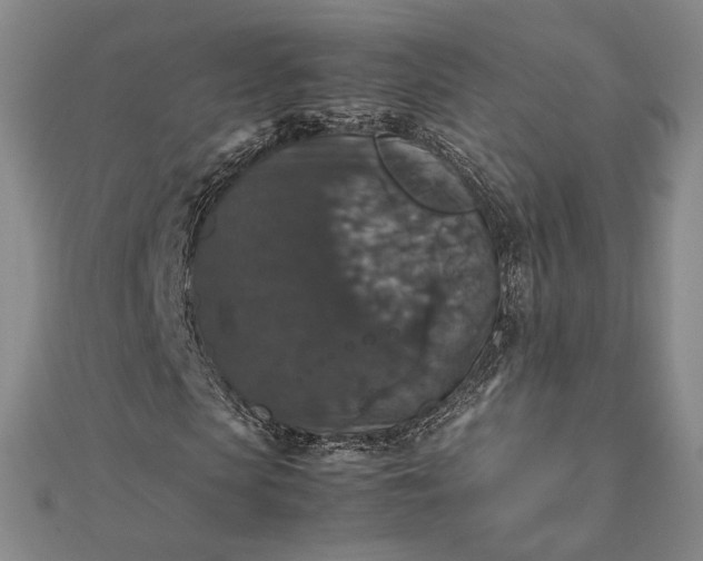 X0000112470913200908311347