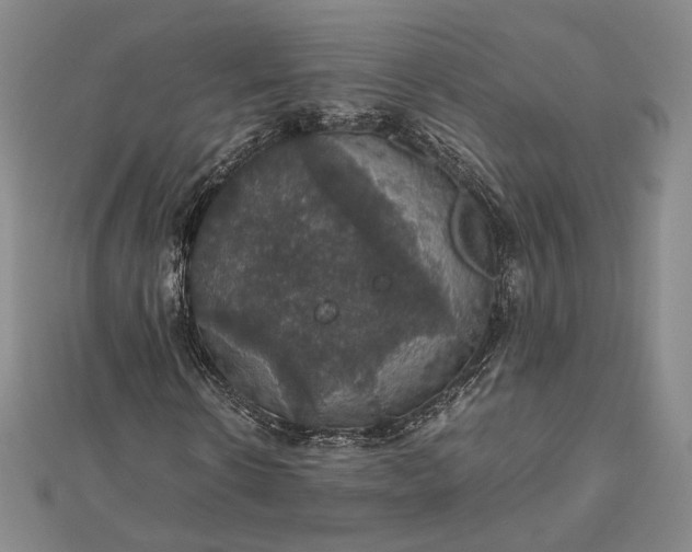 X0000112470914200908311347