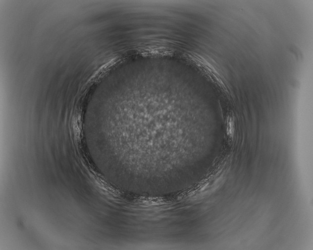 X0000112470915200908311347