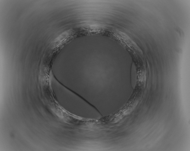 X0000112470916200908311347