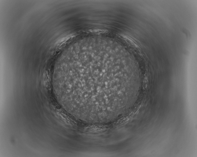 X0000112470917200908311347