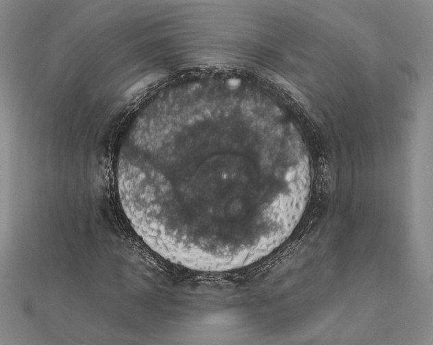 X0000112470918200908311347