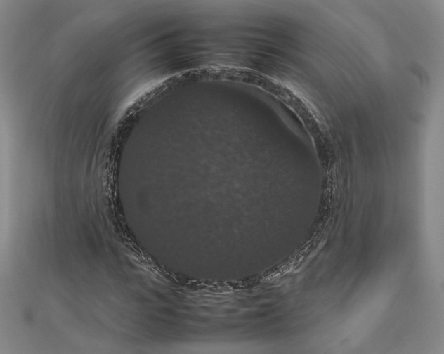 X0000112470919200908311347