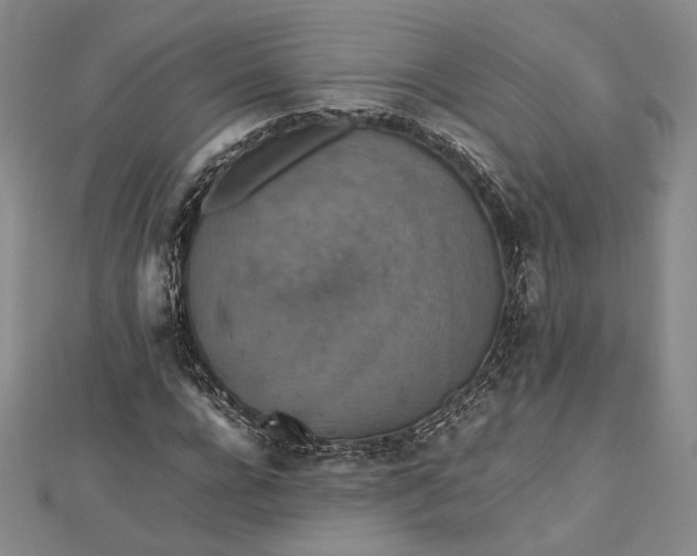 X0000112470920200908311347