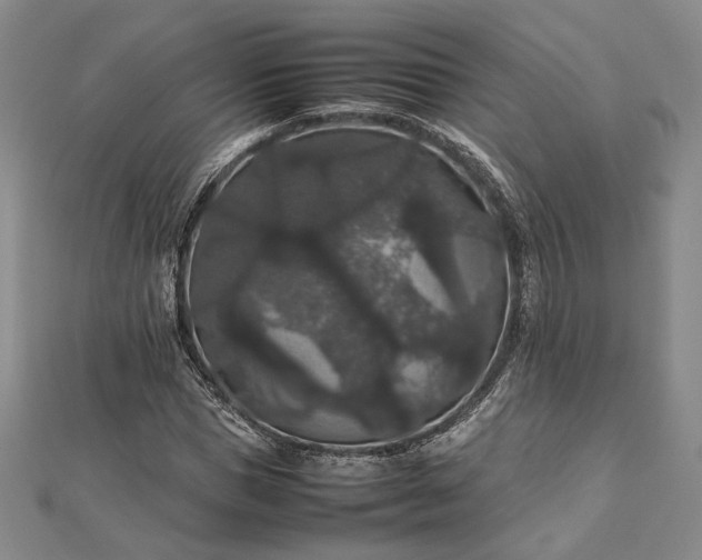 X0000112470921200908311347