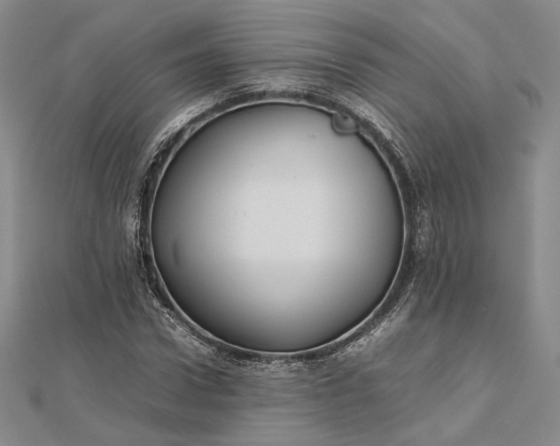 X0000112470922200908311347