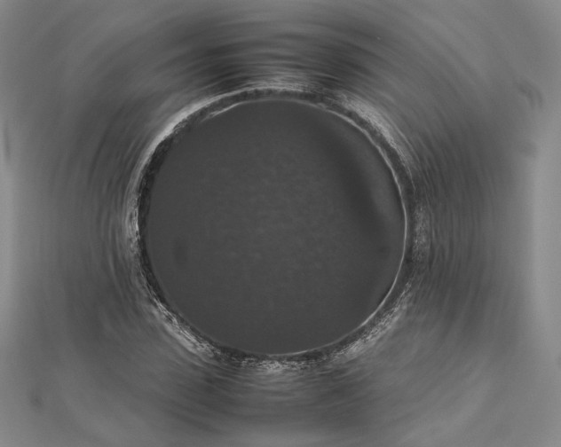 X0000112470923200908311347