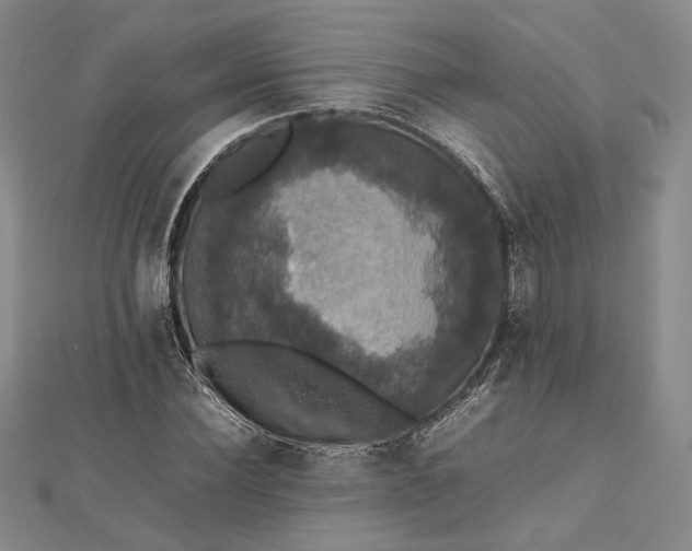 X0000112470924200908311347