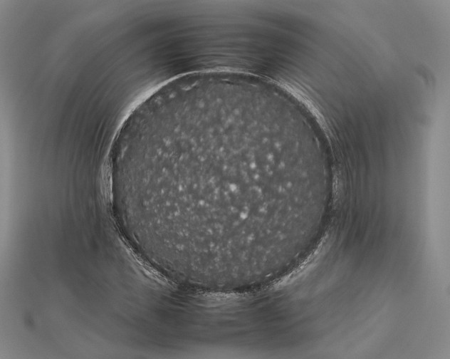 X0000112470925200908311347