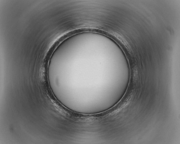 X0000112470926200908311347