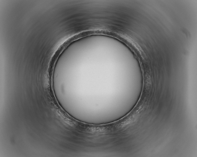 X0000112470927200908311347