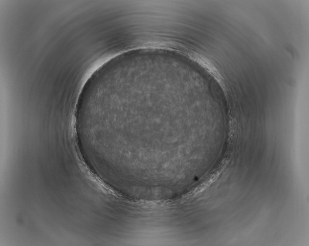 X0000112470928200908311347