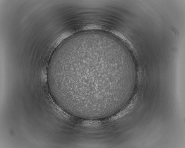 X0000112470929200908311347