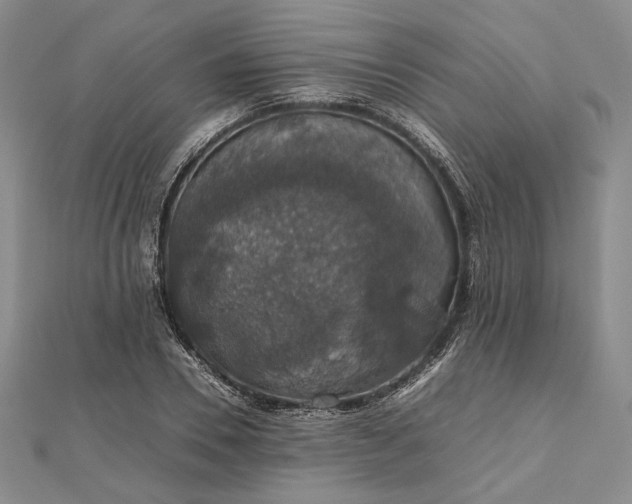 X0000112470930200908311347