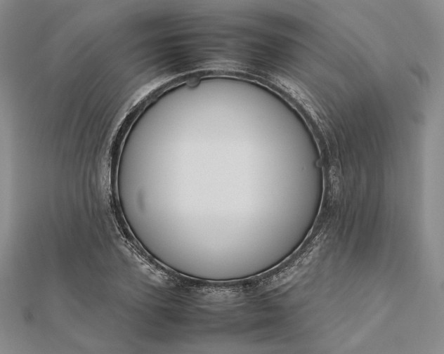 X0000112470931200908311347