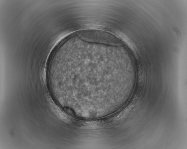 X0000112470932200908311347