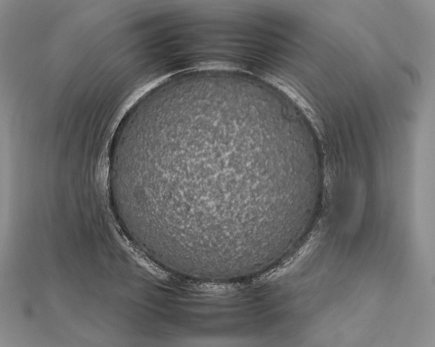 X0000112470933200908311347