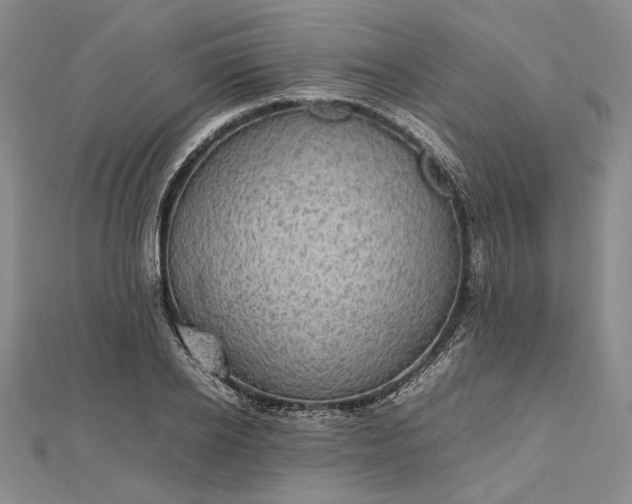 X0000112470934200908311347