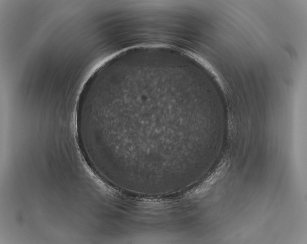 X0000112470935200908311347