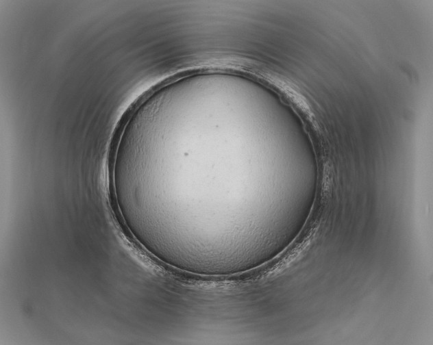 X0000112470936200908311347