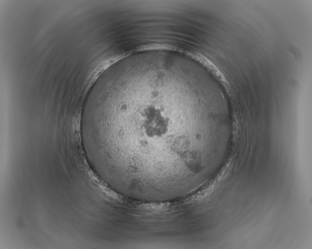 X0000112470937200908311347