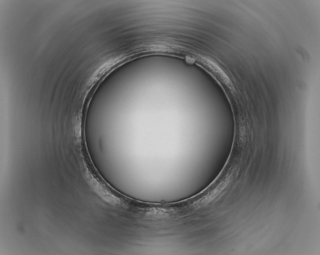 X0000112470938200908311347