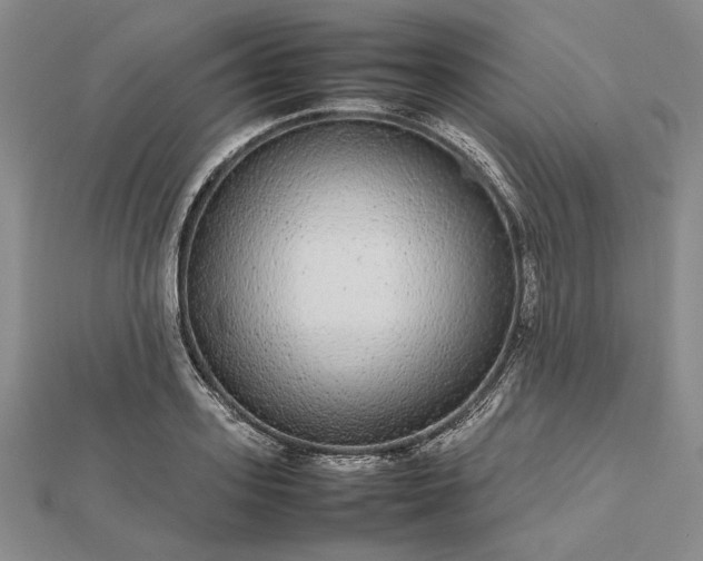 X0000112470939200908311347