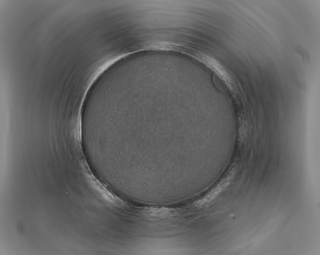 X0000112470940200908311347