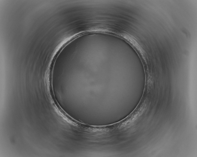 X0000112470941200908311347