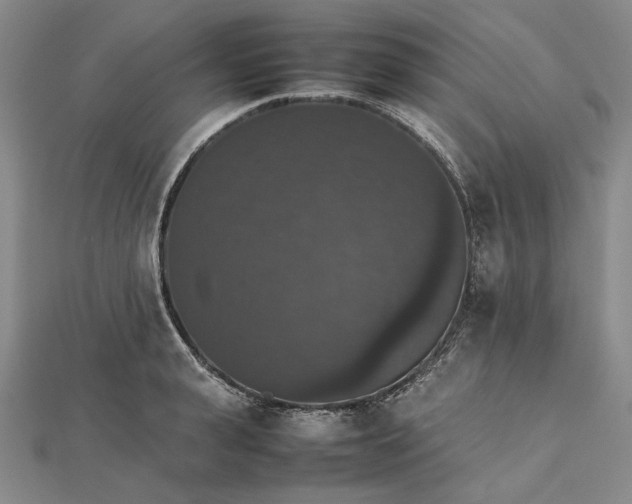 X0000112470943200908311347