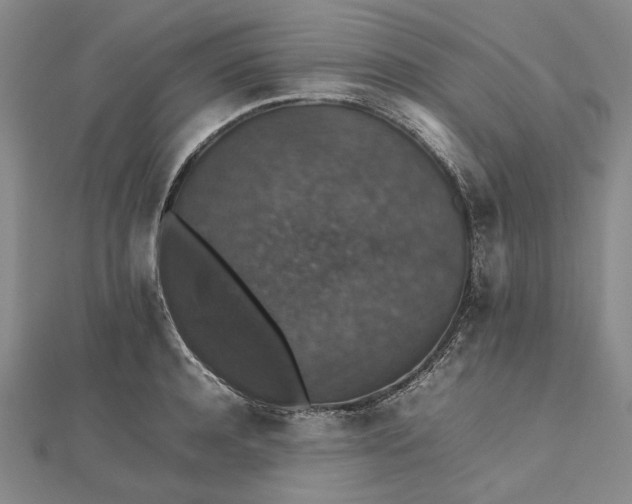 X0000112470944200908311347