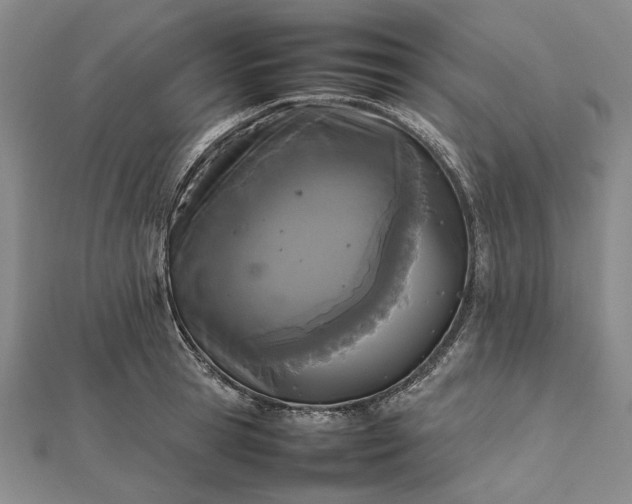 X0000112470945200908311347