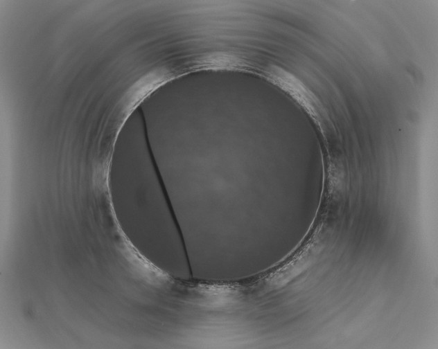 X0000112470946200908311347