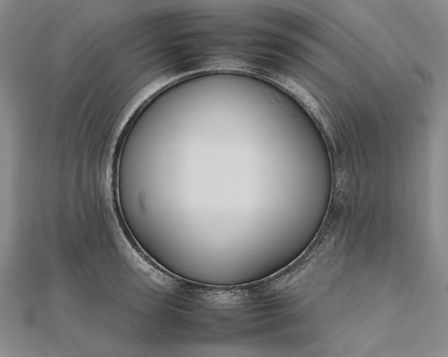 X0000112470947200908311347