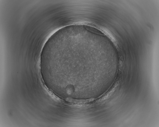 X0000112470948200908311347