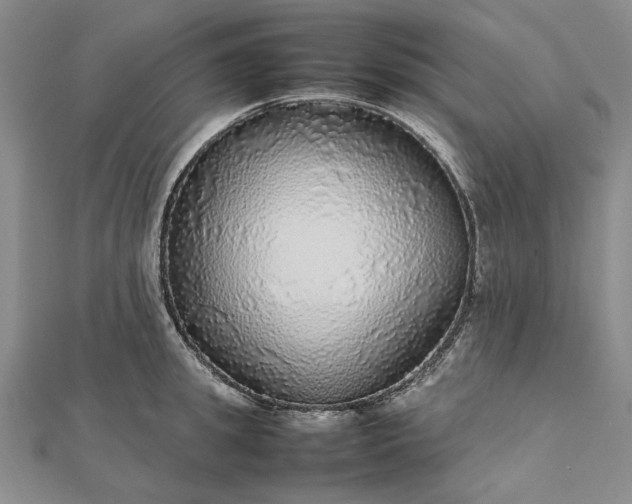 X0000112470949200908311347