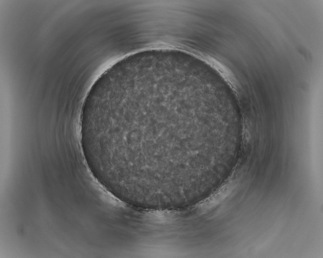 X0000112470950200908311347