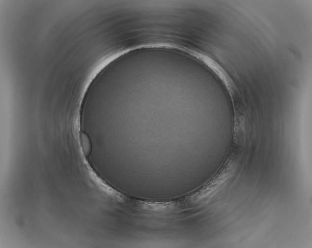 X0000112470951200908311347