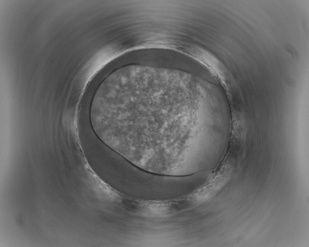 X0000112470952200908311347