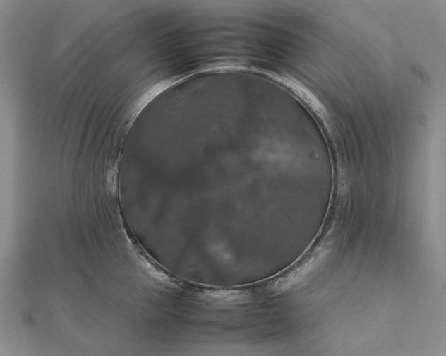 X0000112470953200908311347