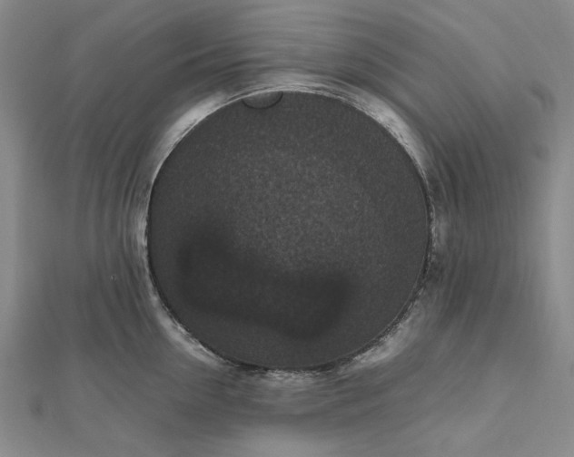 X0000112470954200908311347