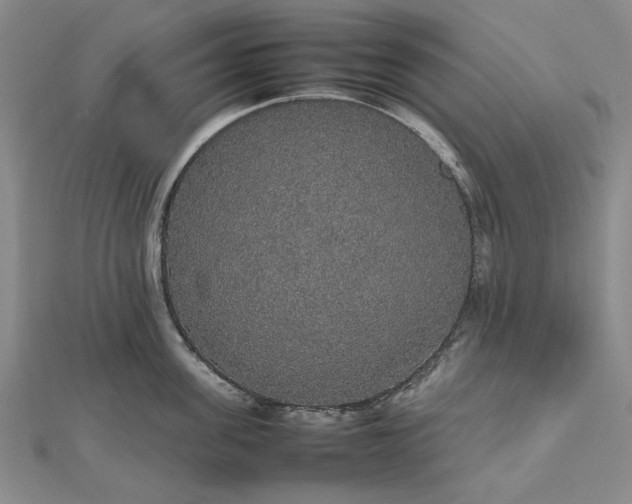 X0000112470955200908311347