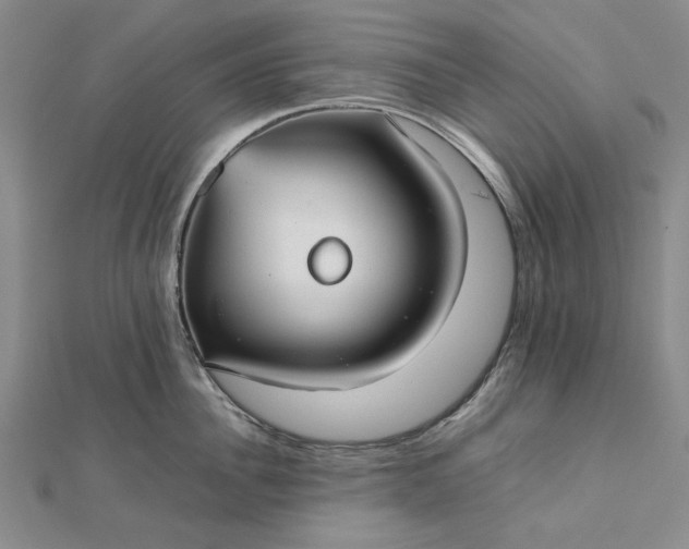 X0000112470956200908311347