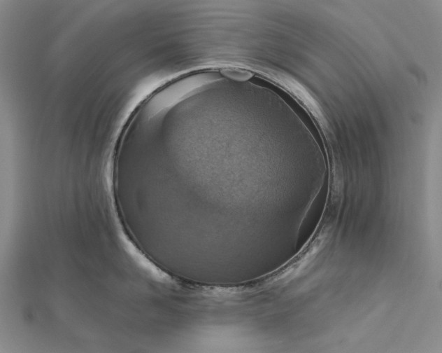 X0000112470958200908311347