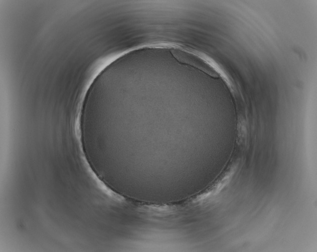 X0000112470959200908311347