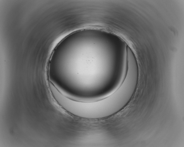 X0000112470960200908311347