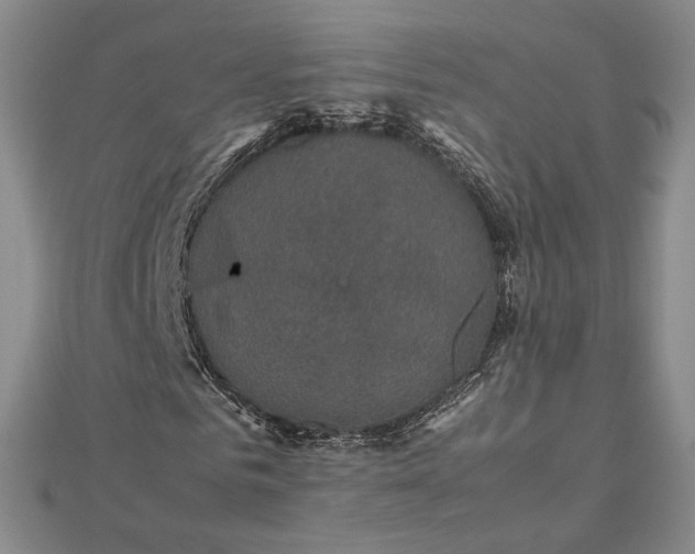 X0000112470961200908311347