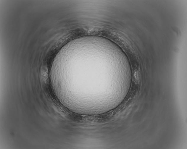 X0000112470963200908311347